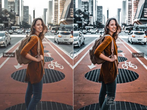 blogger lightroom preset