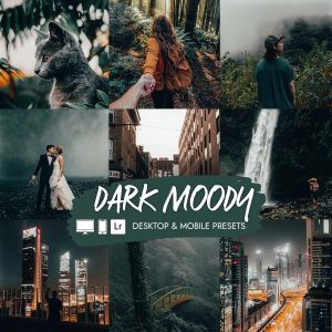 Dark Moody Presets