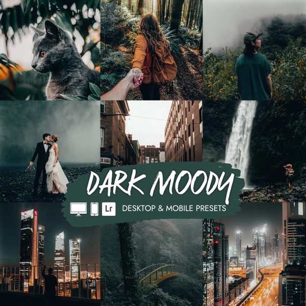 Dark Moody Presets